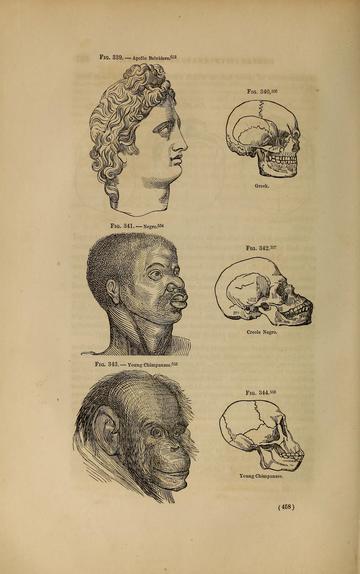 brandler image extracted from types of mankind